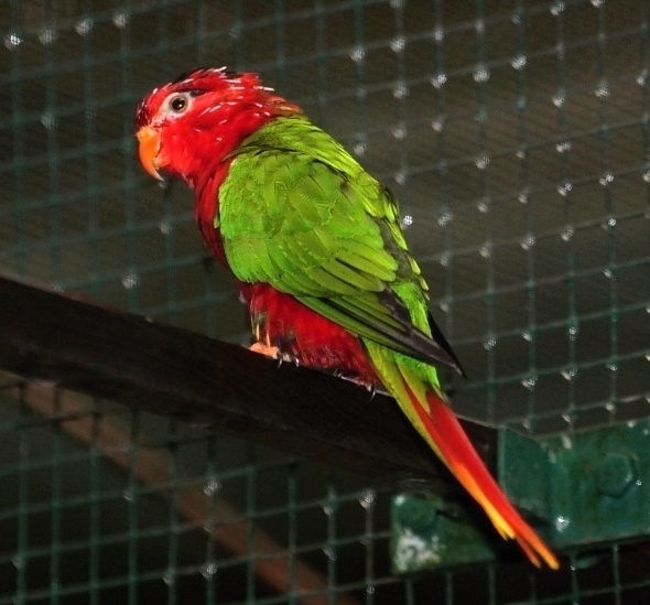 Foto 7